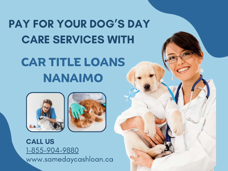 Pay For Your Dog’s Day Care Services With  Car Title Loans Nanaimo